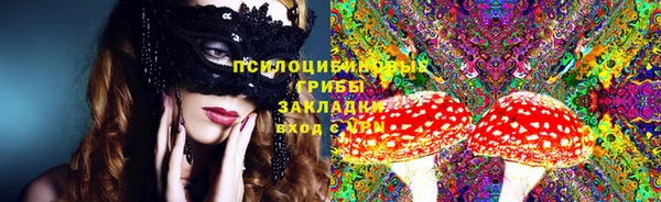 крисы Нефтекумск