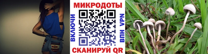 Псилоцибиновые грибы GOLDEN TEACHER  Чебаркуль 