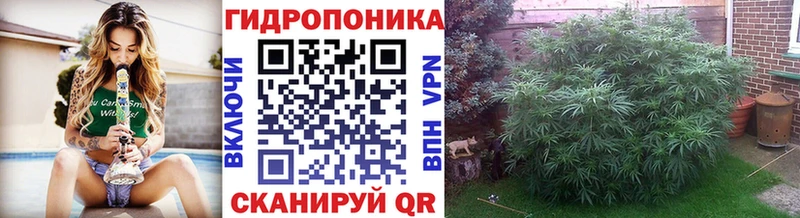 Бошки Шишки план  где продают наркотики  blacksprut   Чебаркуль 